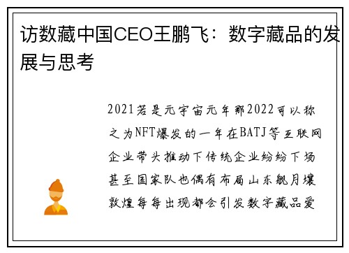 访数藏中国CEO王鹏飞：数字藏品的发展与思考
