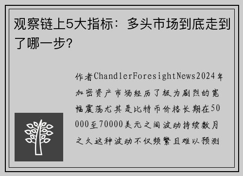 观察链上5大指标：多头市场到底走到了哪一步？