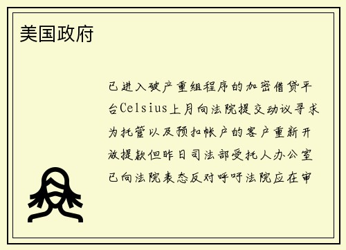 美国政府 