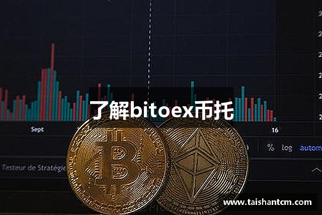 了解bitoex币托